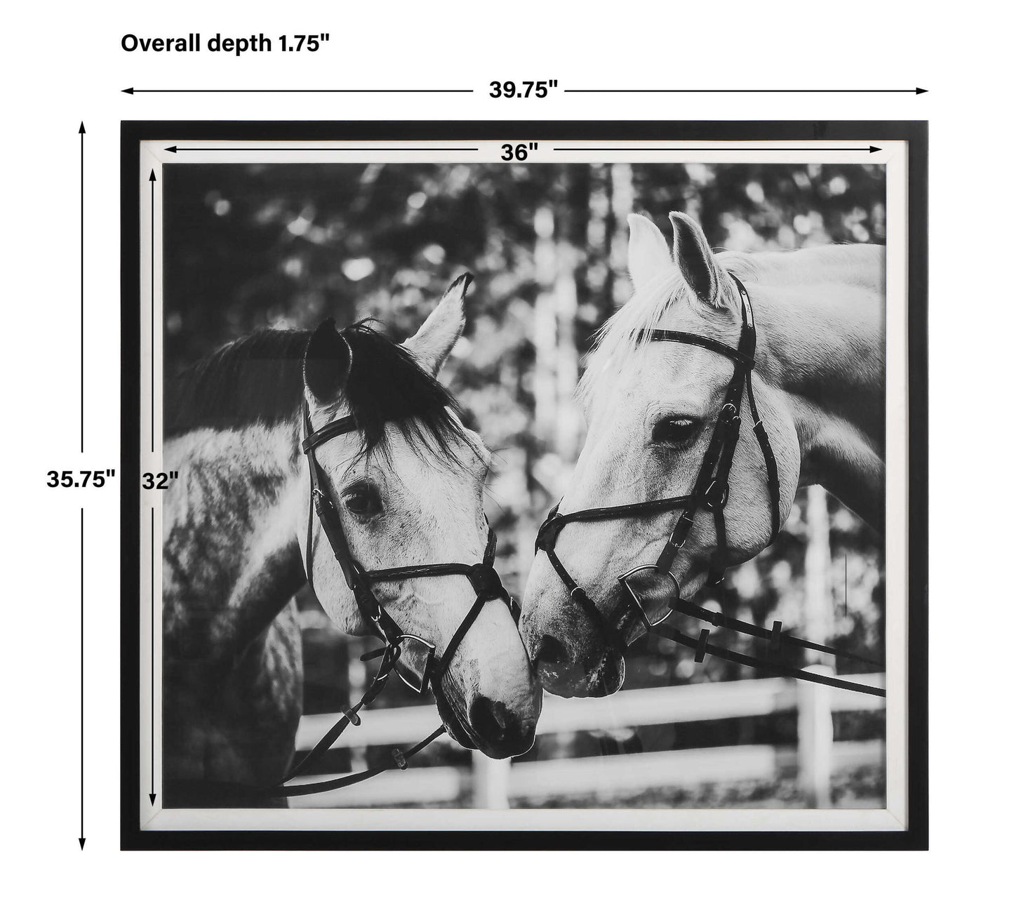 Apple Of My Eye - Framed Print - Black