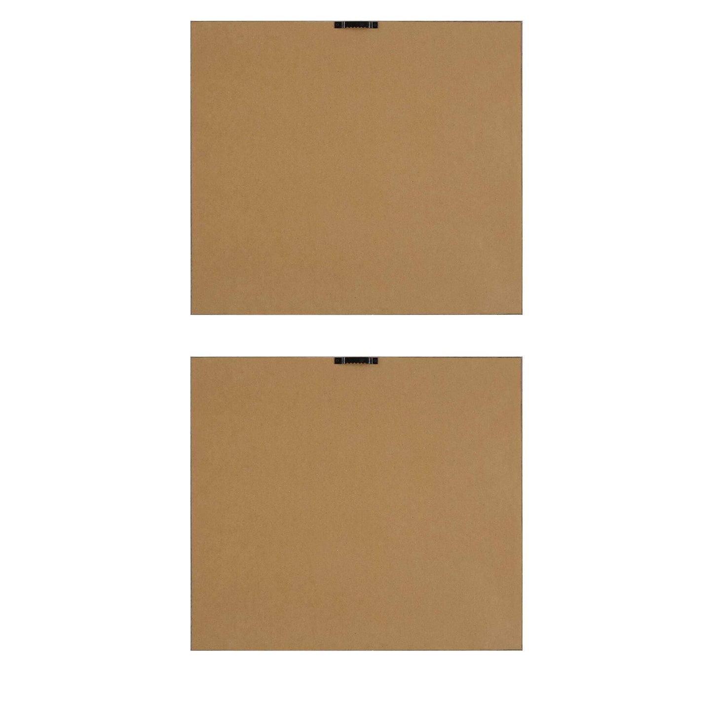 The Catch - Framed Fish Prints (Set of 2) - Black / Brown / Gray / Green / Orange / Woodtone
