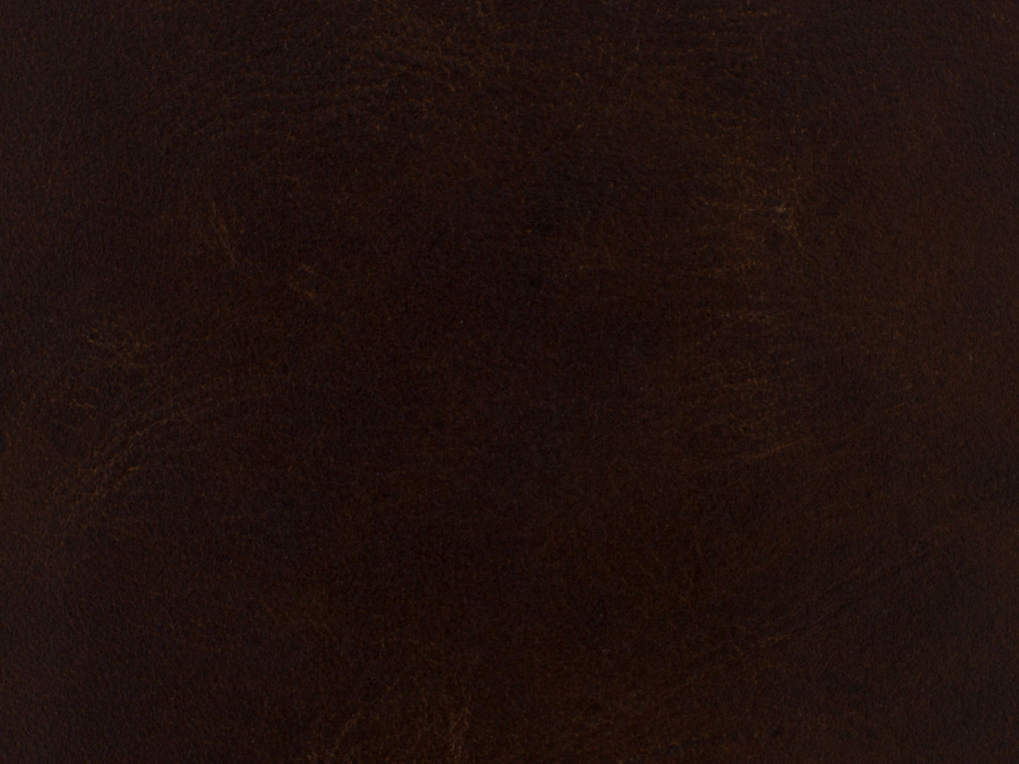 CC - Maya Club Chair