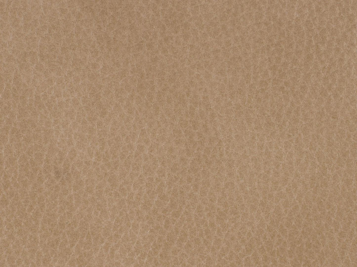 EC - Lynn Executive Swivel Chair