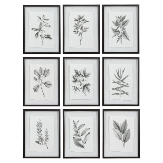 Farmhouse Florals - Framed Prints (Set of 9) - Black