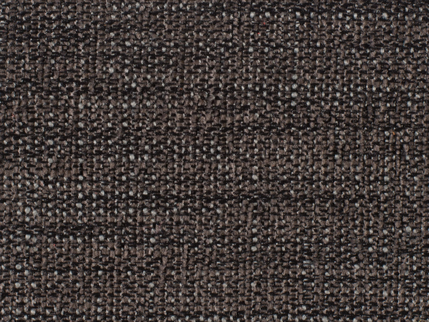 Curata - Upholstered Bench