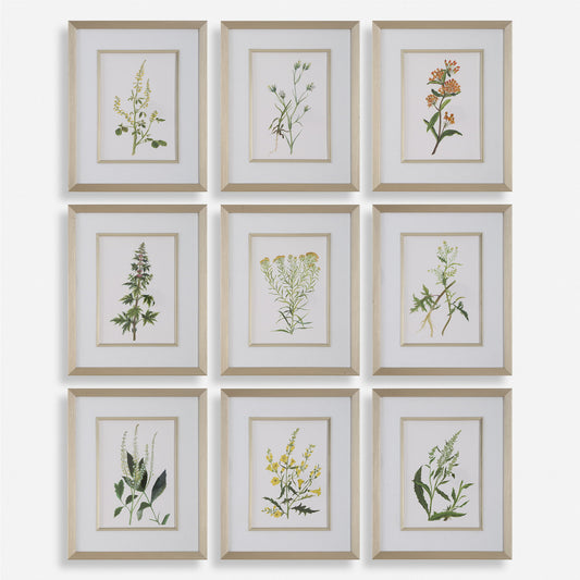 Botanical Flowers - Framed Prints (Set of 9)