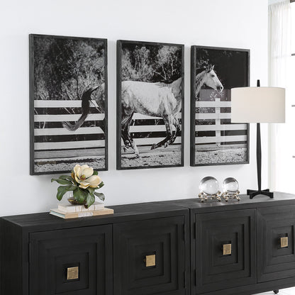 Galloping - Forward Equine Prints (Set of 3)