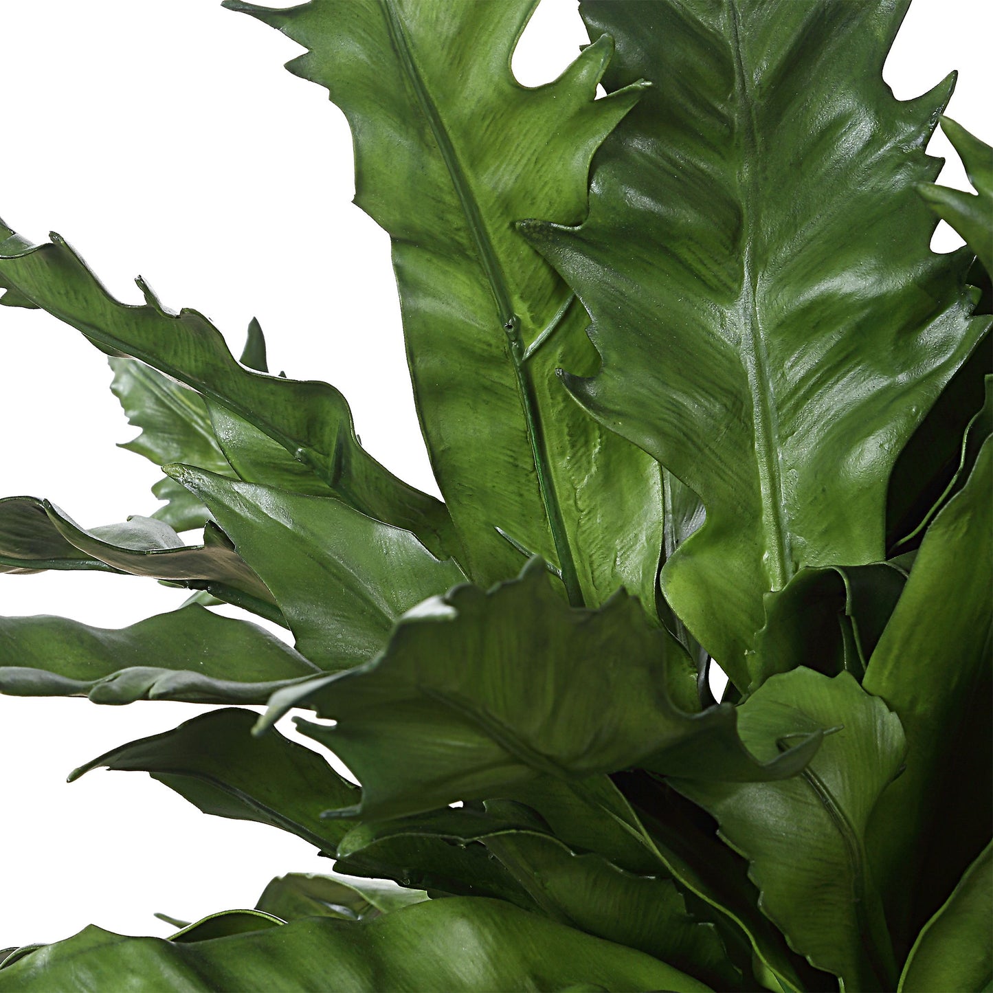 Verdure Fern - In Glazed Pot - White