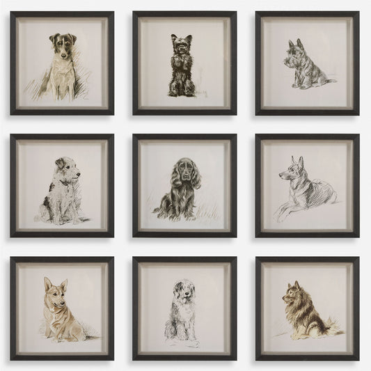 Loyal Companion - Framed Dog Prints (Set of 9)