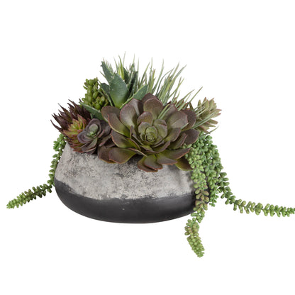 Yuma - Succulent Centerpiece - Gray