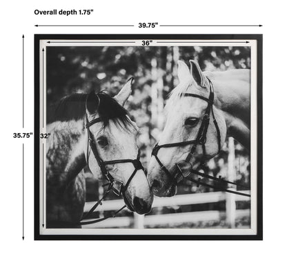Apple Of My Eye - Framed Print - Black