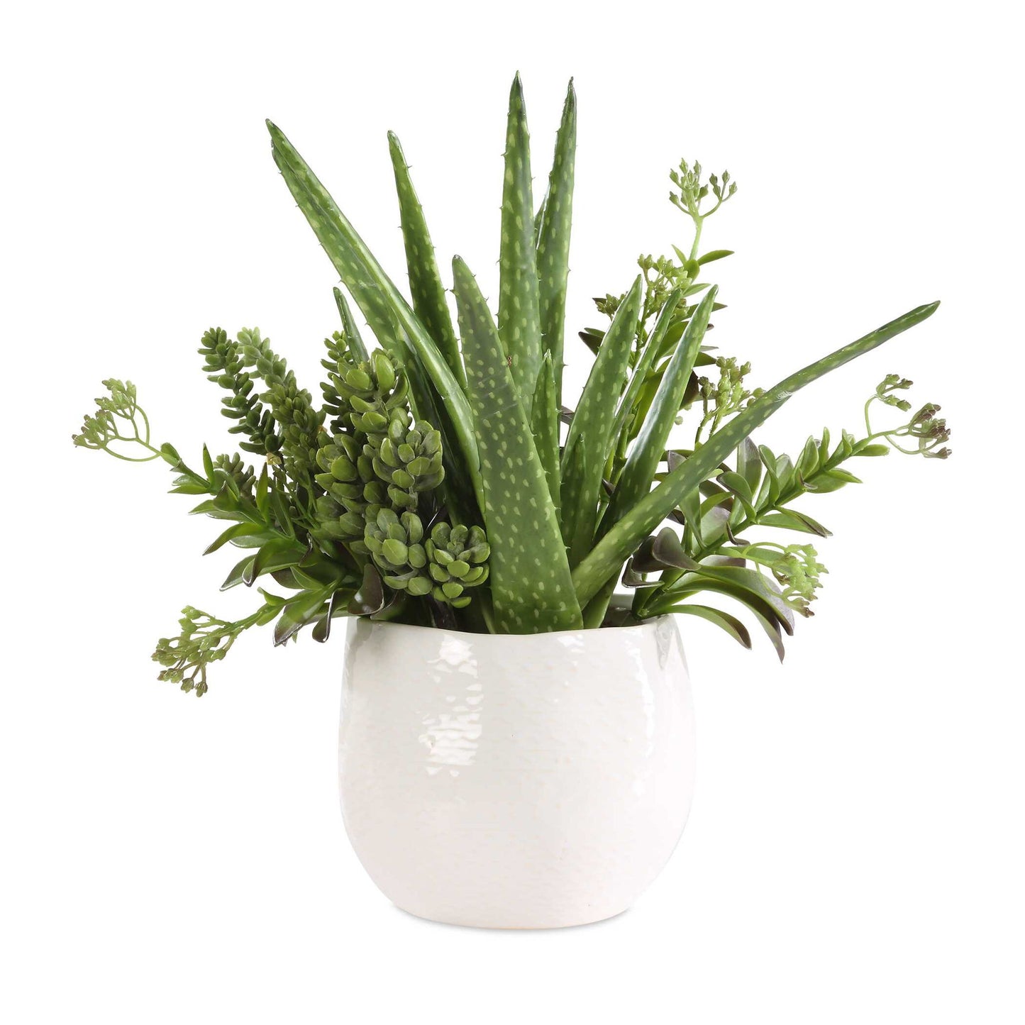 Sundown Succulent - Accent Planter - Green / White