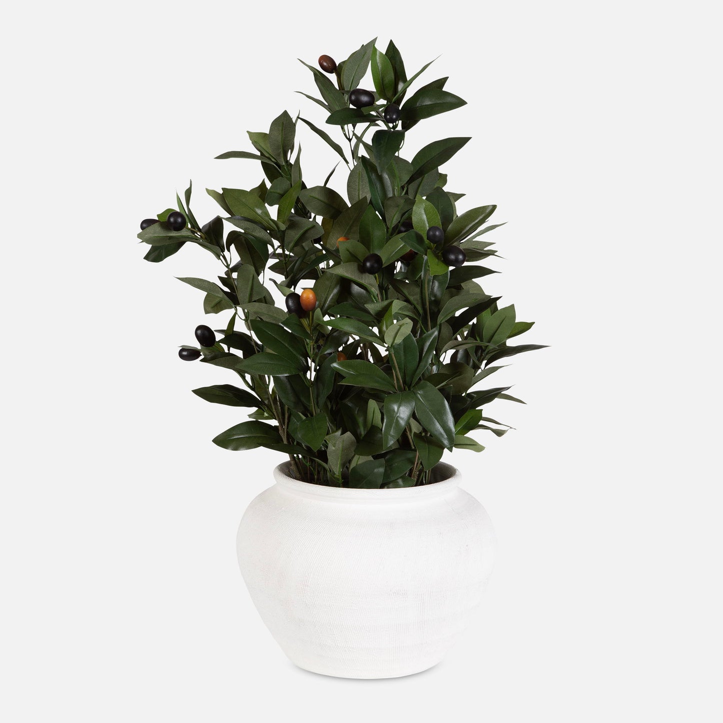 Elena Olive - Centerpiece - White