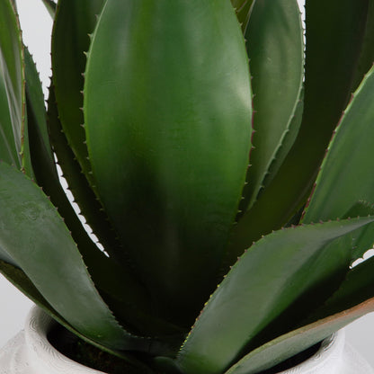 Tierra Agave - Centerpiece With Vase - White