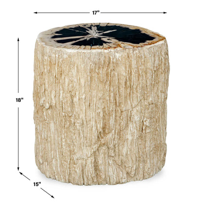 Arco - Petrified Wood Top Accent Table - Black / White