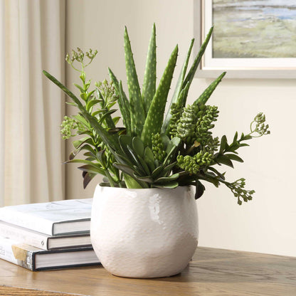 Sundown Succulent - Accent Planter - Green / White