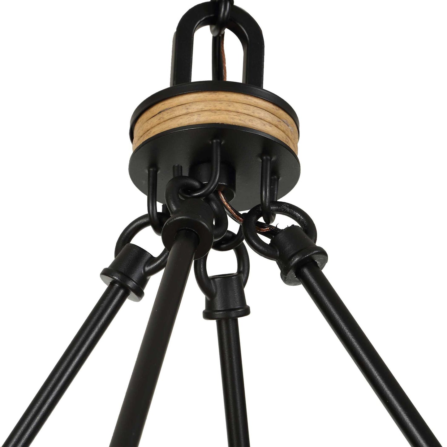 Palm Royal - 8 Light Indoor-Outdoor Chandelier - Black / Light Brown
