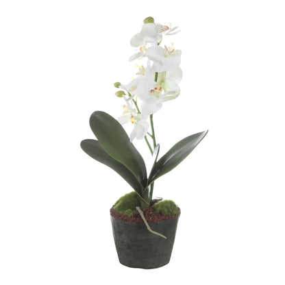 Laris - Orchid Drop-In - White