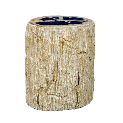 Arco - Petrified Wood Top Accent Table - Black / White