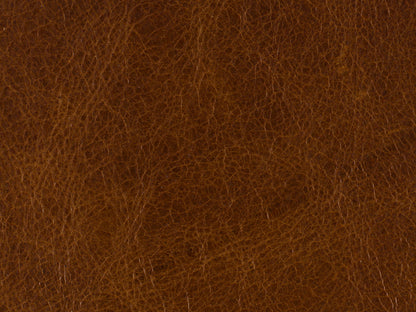 RC - Shasta Recliner