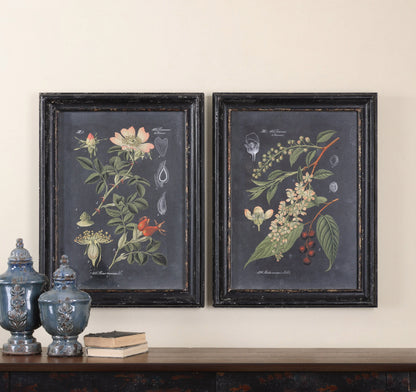 Midnight Botanicals - Wall Art (Set of 2) - Black