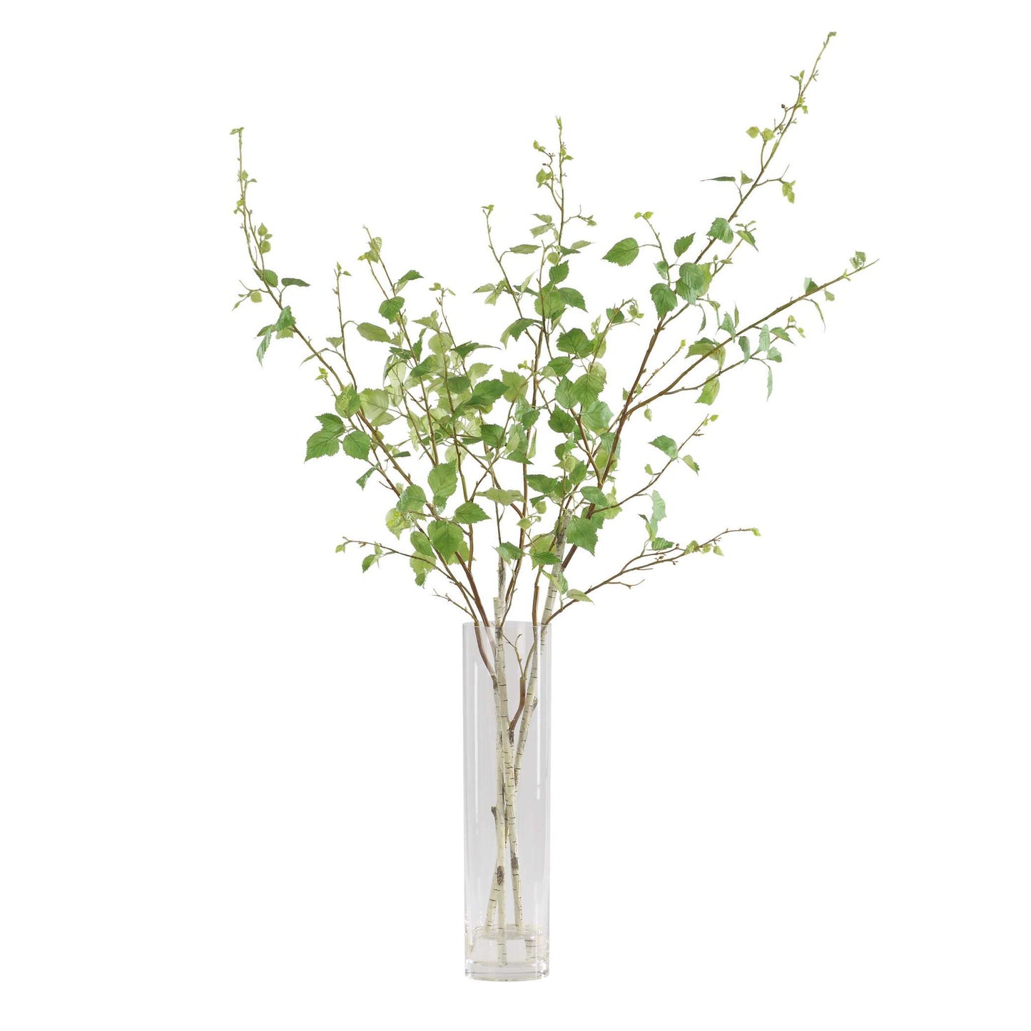 Nigra - Birch Vase Centerpiece - Green