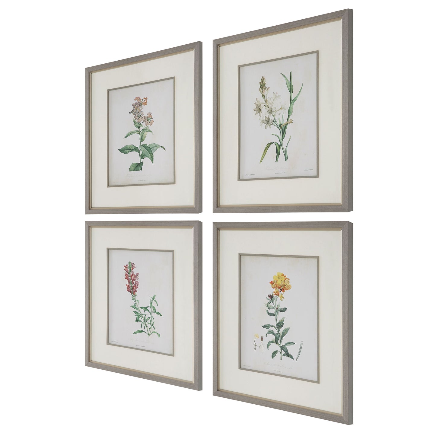 Heirloom Blooms - Study Framed Prints (Set of 4) - Green