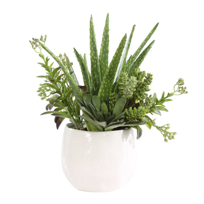 Sundown Succulent - Accent Planter - Green / White