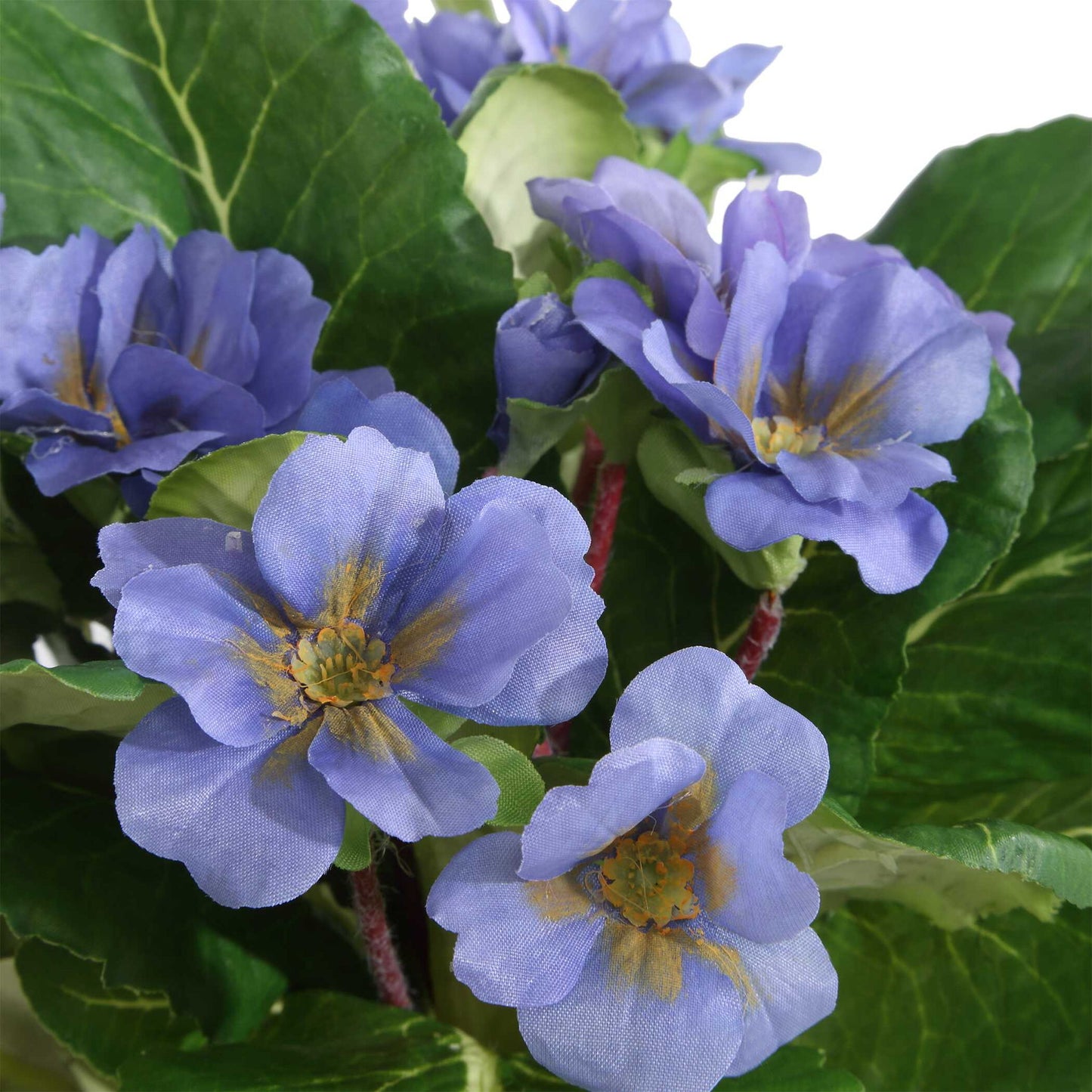 Trilogy Primrose - Accents In Vases (Set of 3) - Green / White