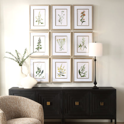 Botanical Flowers - Framed Prints (Set of 9)