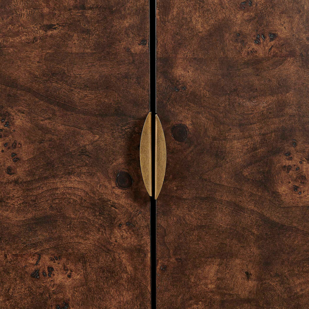 Flores - Burl Wood 2 Door Cabinet - Brass,Woodtone