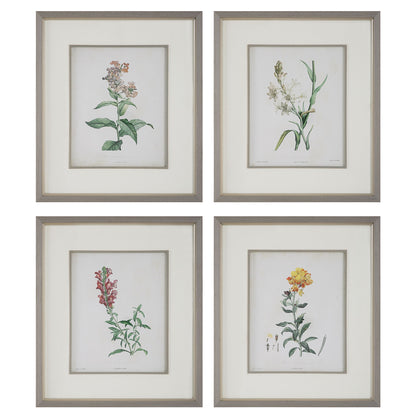 Heirloom Blooms - Study Framed Prints (Set of 4) - Green