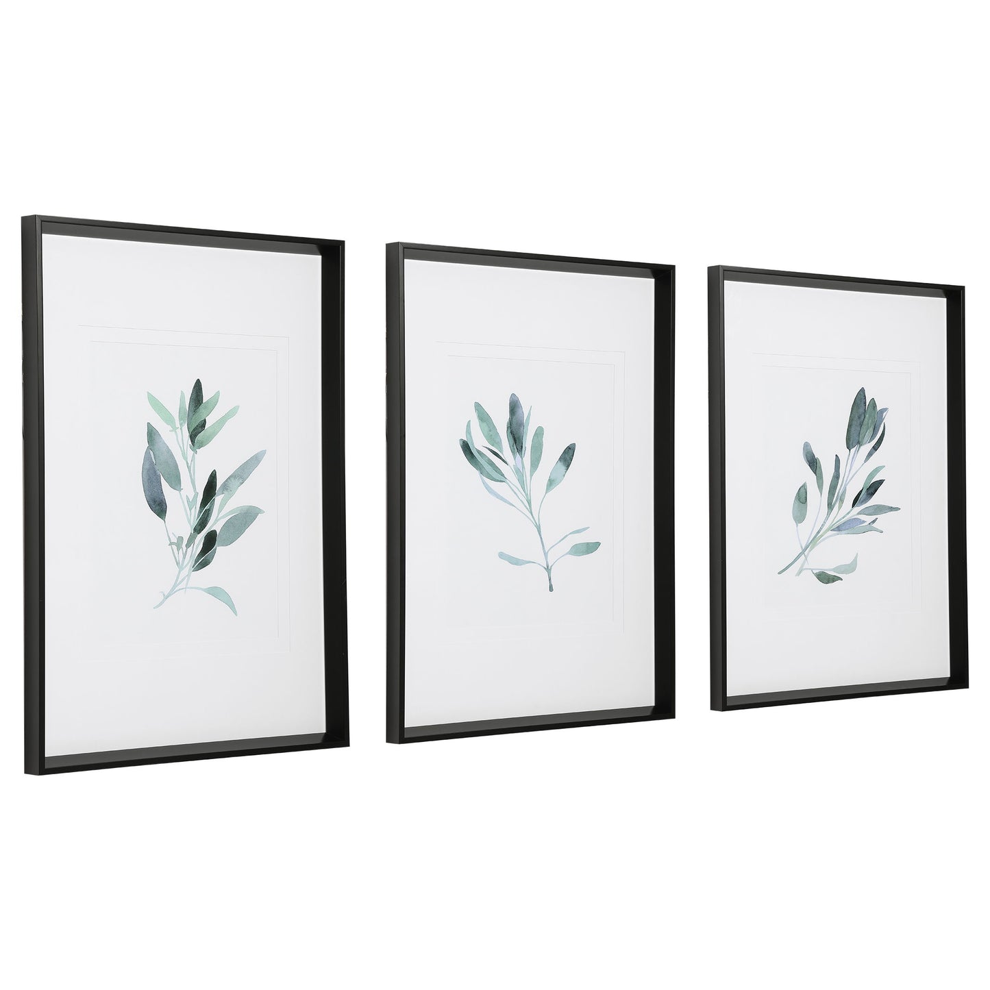 Simple Sage - Watercolor Prints (Set of 3) - White