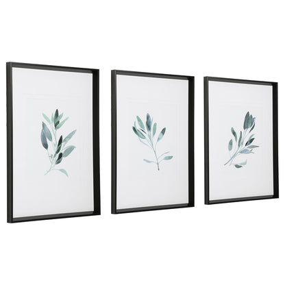 Simple Sage - Watercolor Prints (Set of 3) - White