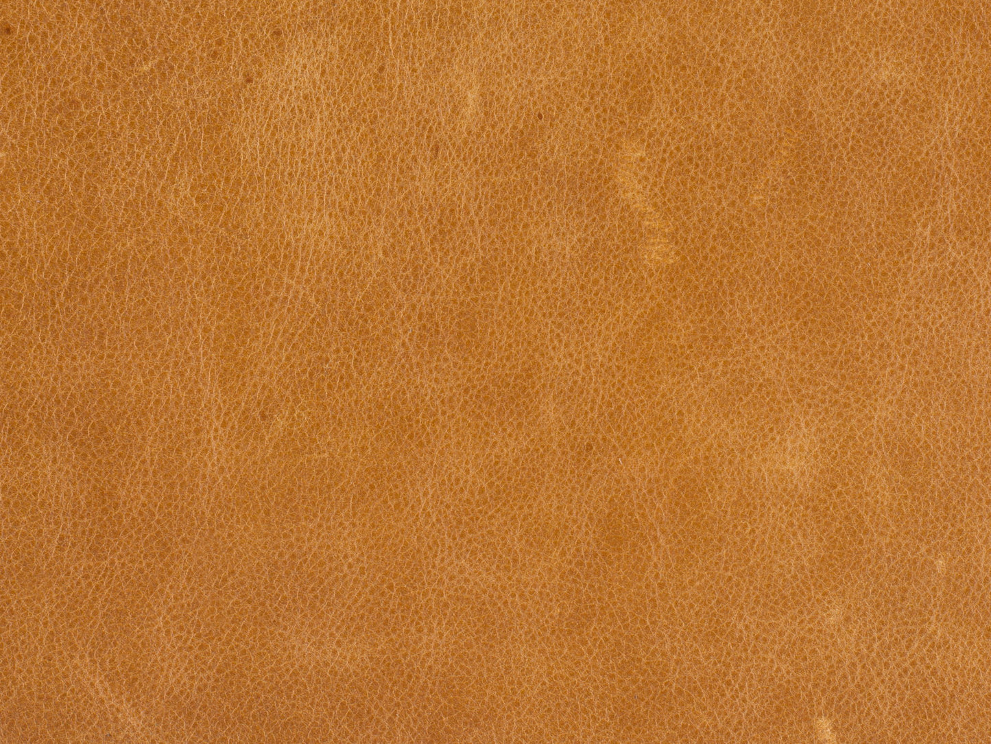 MS - Savion Grandier Power Recliner