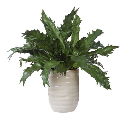 Verdure Fern - In Glazed Pot - White