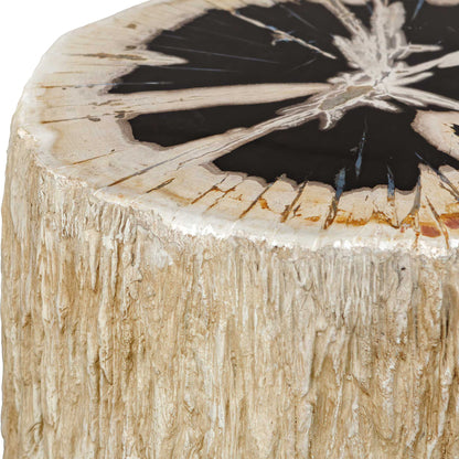 Arco - Petrified Wood Top Accent Table - Black / White