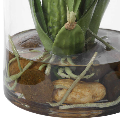 Spider - Orchid In Glass Vase - Green,Pink,Yellow