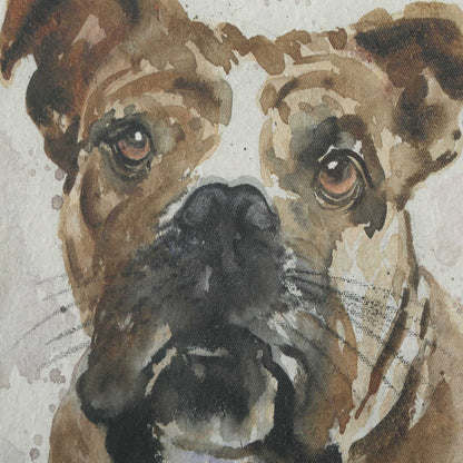 Dog Days - Framed Prints (Set of 4) - Black / Blue / Brown / Gray / Orange / White