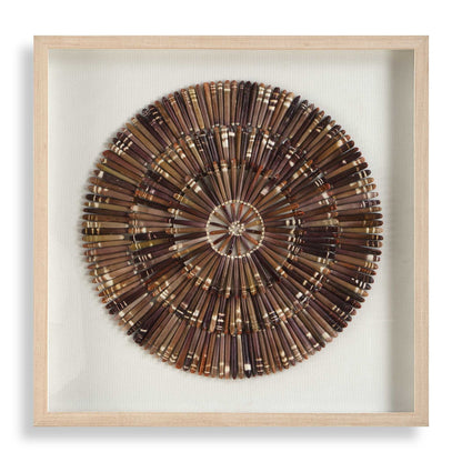 Tiger Sea Urchin - Shadow Box - Brown