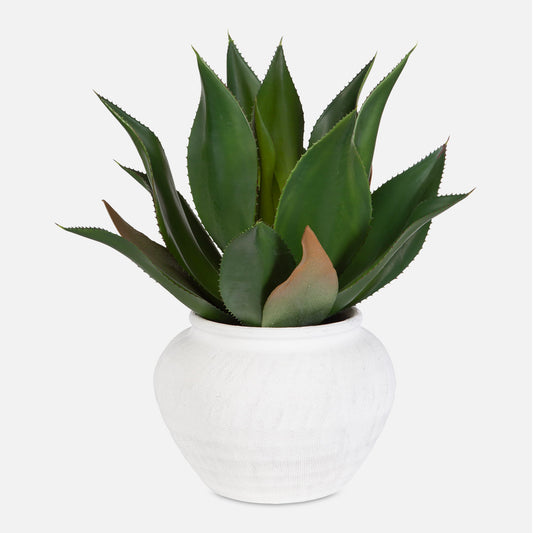 Tierra Agave - Centerpiece With Vase - White