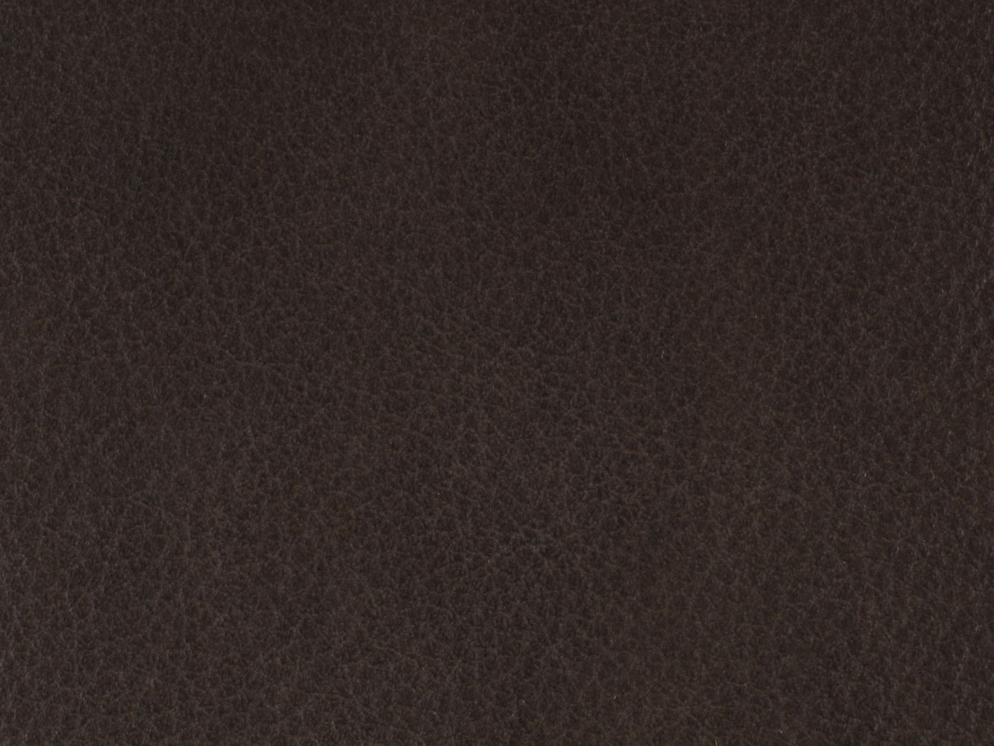 EC - Lynn Executive Swivel Chair