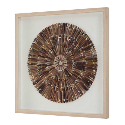 Tiger Sea Urchin - Shadow Box - Brown