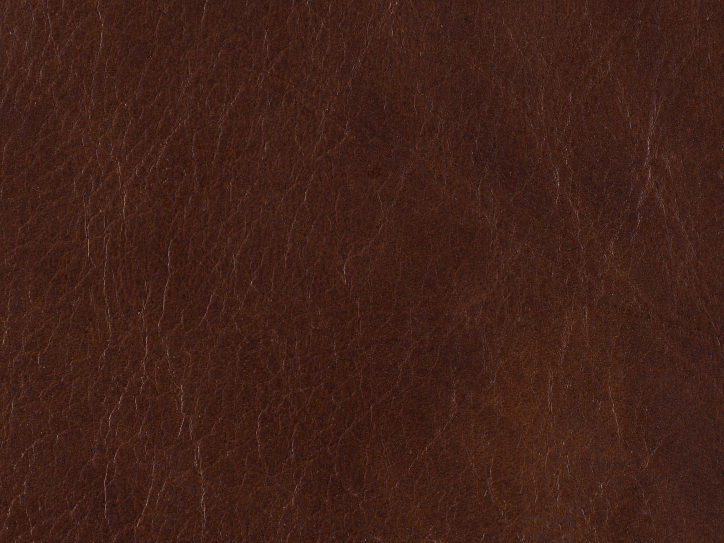 EC - Victoria Executive Swivel Tilt Chair