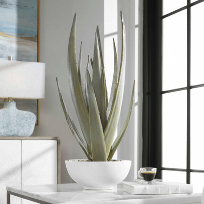Evarado - Aloe Planter - White