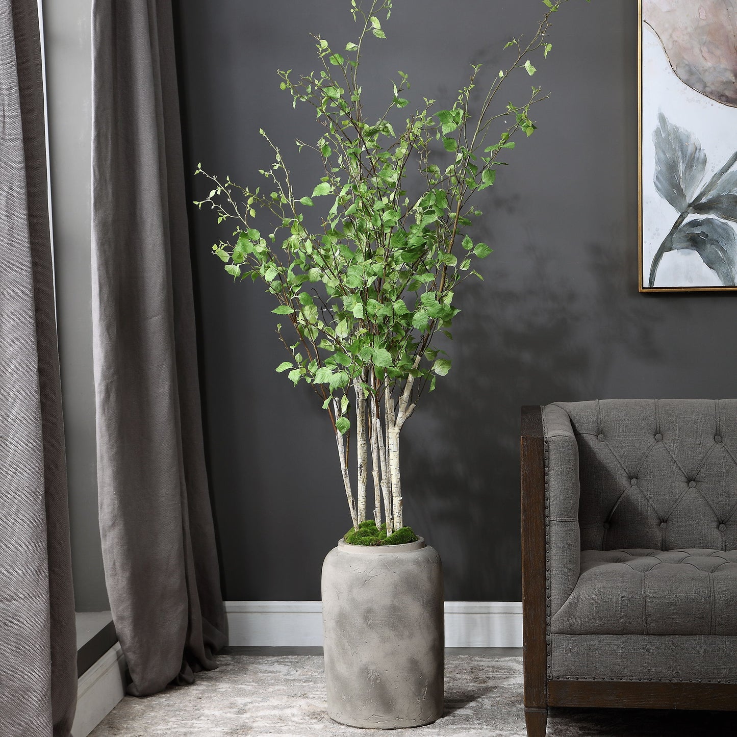 Aldis - Potted River Birch - Pearl Silver