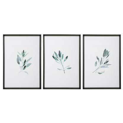 Simple Sage - Watercolor Prints (Set of 3) - White