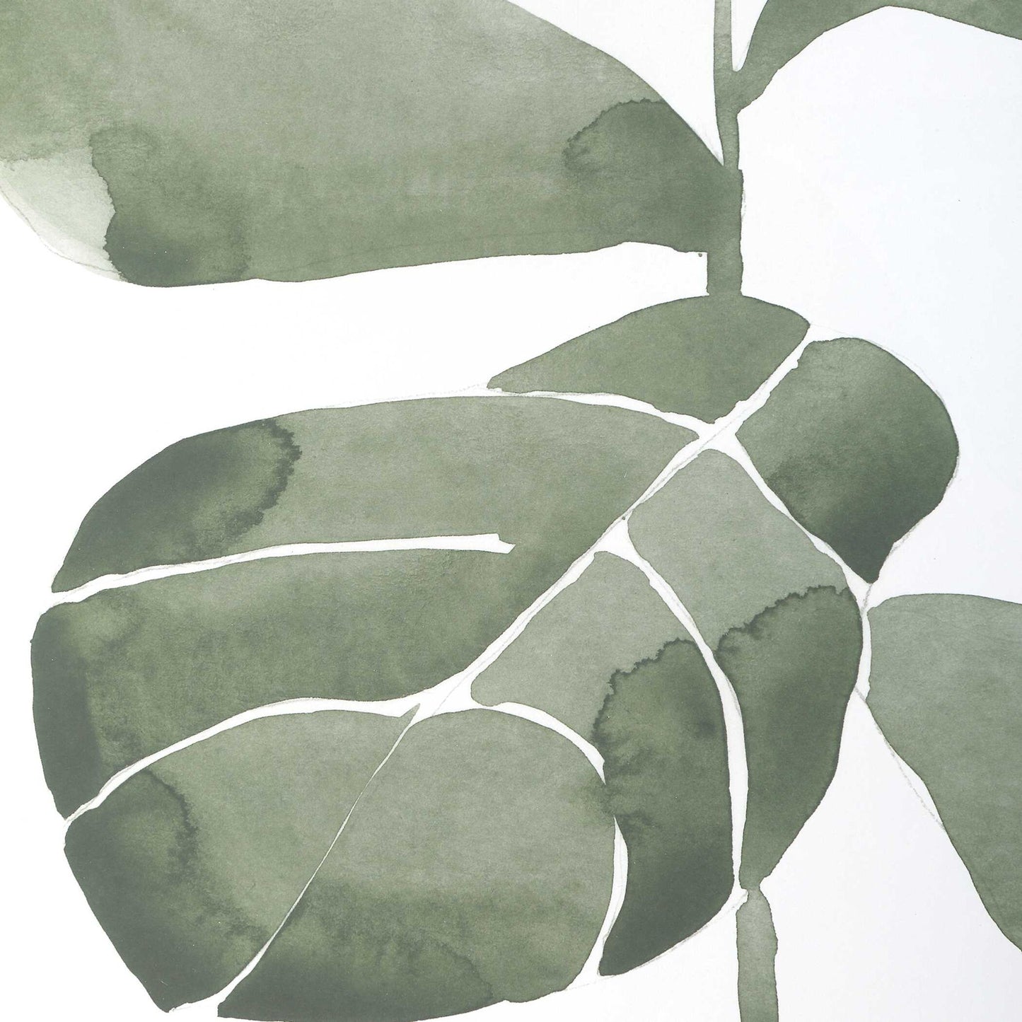 Fiddle Head - Leaf Botanical Prints (Set of 4) - Gold / Green / White