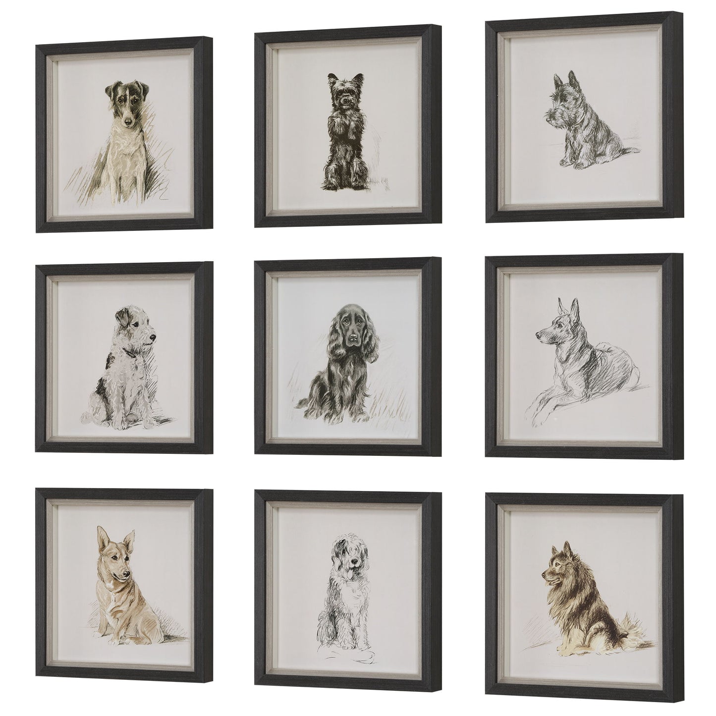 Loyal Companion - Framed Dog Prints (Set of 9)