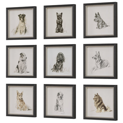 Loyal Companion - Framed Dog Prints (Set of 9)